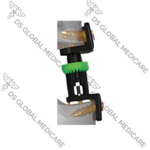 Expandable Cage with Plate